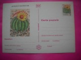 HOPCT 14078 CACTUS-ASTROPHYTUM ORNATUM - IP-ROMANIA-NECIRCULATA