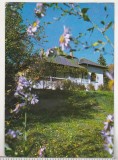 bnk cp Targu Neamt - Casa memoriala M Sadoveanu din Vanatori - circulata