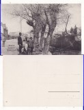 Orsova - Dunarea , tipuri, Necirculata, Printata