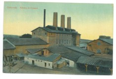 2667 - CERNAVODA, Dobrogea, Fabrica de Ciment, Romania - old postcard - unused
