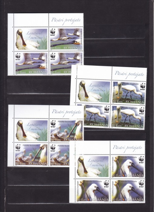 2006 LP 1744 LP 1744 a PASARI PROTEJATE LOPATARUL EURASIAN WWF BLOC+VINIETA MNH