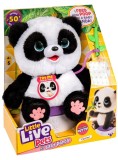 Little Live Pets My Baby Panda (26677)