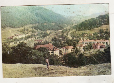 bnk cp Anina - Vedere - circulata foto