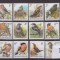 168=BELGIA-Pasari-Lot de 18 timbre nestampilate,MNH