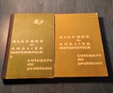 Algebra si analiza matematica culegere de probleme 2 volume N. Donciu D. Flondor