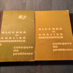 Algebra si analiza matematica culegere de probleme 2 volume N. Donciu D. Flondor