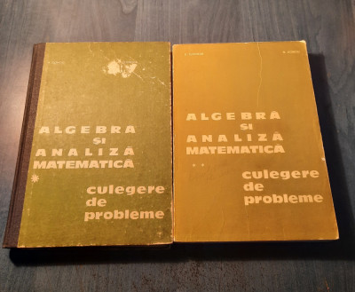 Algebra si analiza matematica culegere de probleme 2 volume N. Donciu D. Flondor foto