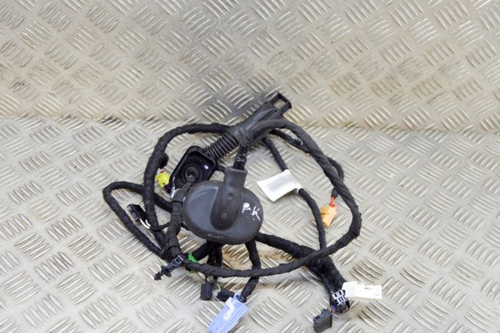Cablaj ușă st&acirc;nga față VW ID.3 E11 2022 OEM: 10A970401 17957105