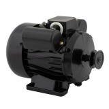 BE-2000 MOTOR pentru batoza electrica ELEFANT Innovative ReliableTools