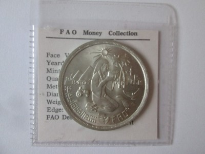 Egipt 1 Pound 1980 FAO argint UNC,diam.=35 mm,greutate=14,90 grame foto