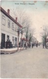 Strada Principal a Mangalia (circulata 1909)