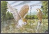 Jersey 2001 - Păsări de pradă, Colita (110 mm x 75mm), MNH, Nestampilat