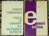 Matei Calinescu - Eseuri critice - Viata si opiniile lui Zacharias Lichter