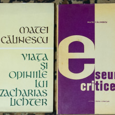 Matei Calinescu - Eseuri critice - Viata si opiniile lui Zacharias Lichter
