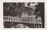bnk cp Caciulata-Calimanesti - Podul peste Olt - circulata 1953