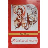 FLORILE DE LA ICOANA-ELISA FLORESCU-233639