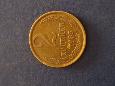 2 copeici 1985 rusia foto