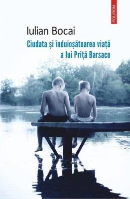 Ciudata si induiosatoarea viata a lui Prita Barsacu &amp;ndash; Iulian Bocai foto