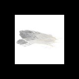 Pene albe cu sclipici pentru activitati crafts,18-20cm, 6 bucati set