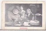 bnk cld Calendar de buzunar 1984 Romaniafilm - Comoara - Gh Cozorici