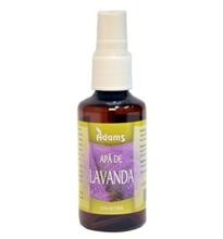 Apa Lavanda Adams Vision 50ml Cod: 6424842003229 foto