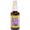 Apa Lavanda Adams Vision 50ml Cod: 6424842003229