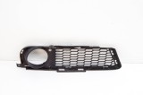 Grila dreapta față BMW 3 E90 2010 OEM: 7906496 | 17579760