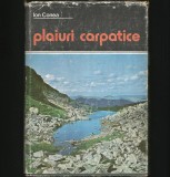 PLAIURI CARPATICE / CARPATINE - ION CONEA
