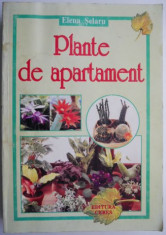 Plante de apartament &amp;ndash; Elena Selaru foto