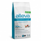 Cumpara ieftin Alleva SP EQUILIBRIUM dog sensitive ocean fish puppy all breeds 12 kg