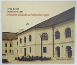 DE LA PALAT , LA UNIVERSITATE , O ISTORIE VIZUALA A PALATULUI APOR de ILEANA BURNICHIOIU , 2009