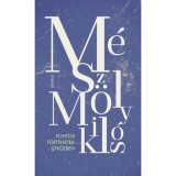 Pontos t&ouml;rt&eacute;netek &uacute;tk&ouml;zben - M&eacute;sz&ouml;ly Mikl&oacute;s