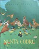 NUNTA IN CODRU. ILUSTRATII: ILEANA CEAUSU-GEORGE COSBUC-251224