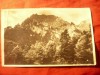 Ilustrata Bucegi- Varf Karaimanu ,cu goarna 51 -1935, Circulata, Fotografie