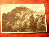 Ilustrata Bucegi- Varf Karaimanu ,cu goarna 51 -1935, Circulata, Fotografie