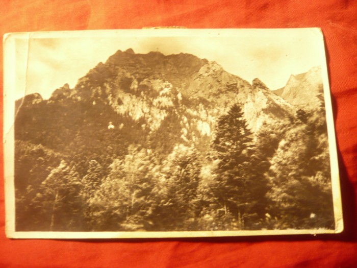 Ilustrata Bucegi- Varf Karaimanu ,cu goarna 51 -1935