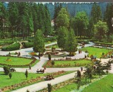 CPIB 15167 - CARTE POSTALA - BORSEC, PARCUL CENTRAL