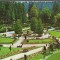 CPIB 15167 - CARTE POSTALA - BORSEC, PARCUL CENTRAL