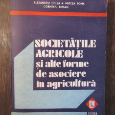 Alexandru Ticlea - Societatile agricole si alte forme de asociere in agricultura