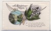 Bnk cp Anglia - Felicitare - Flori - interbelica, Circulata, Printata