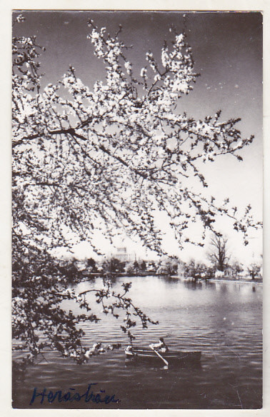 bnk cp Bucuresti - Lacul Herastrau - uzata