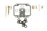 Kit reparatie carburator; pentru numarul de carburatoare 1 pentru SUZUKI GT 750 1974-1979