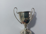 Mini cupa din argint(BB32), Cana, Universal