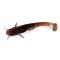 Năluca soft FishUp Catfish 2&quot; #019