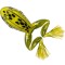 Broasca LIVE TARGET Freestyle Frog Unrigged, Moss / Yellow, 7.5cm, 2buc/pac