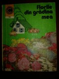 Florile din gradina mea nr. 74