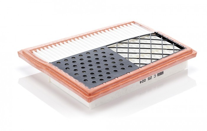 Filtru Aer Mann-Filter C25004