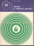 Cumpara ieftin Genele si Ingineria Genetica - Petre Raicu, Stiintifica si Enciclopedica 1978, Biologie, Stiinta