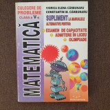 Culegere de probleme clasa a V-a de Viorica Elena Carbunaru