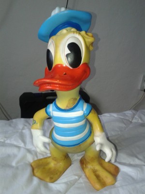 ARADEANCA JUCARIE VECHE foto